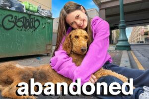 I Rescued a LOST DOG! Will I Keep Him?