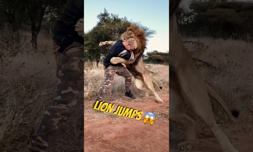 LIONS LOVE DIFFERENTLY 🦁❤️