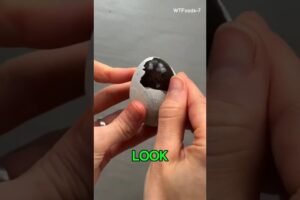 Looks UNREAL… But Yes, People Actually Eat This Black Egg 👀🥚#shorts #fyp #china