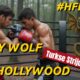 MR.Hollywood VS Grey Wolf #HFDB22