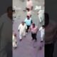 Man killed After Recording Video Of fight In Bihar