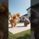 Orange cat fights with hippo #cat #aicat #fatcat #orangecat #animals