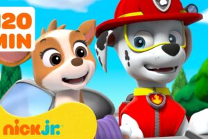 PAW Patrol Baby Animals Rescues & Adventures! w/ Marshall #6 🦌 120 Minutes | Nick Jr.