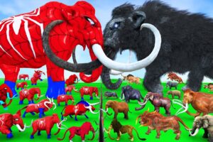 Prehistoric Mammoth vs Spidey Mammoth Size Comparison Epic Battle Animal Revolt Battle Simulator