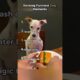 Ranking Funniest Dog Moments 😂