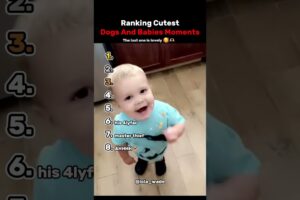 Ranking The Top 8 Cutest Dogs and Babies Moments