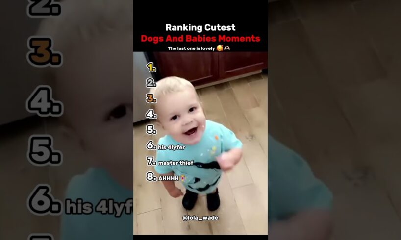 Ranking The Top 8 Cutest Dogs and Babies Moments
