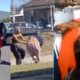 STREET FIGHTS BEST OF 2024 | INSANE Street Fight Compilation