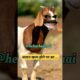 Savan khatm hone ka dar comedy #comedy #aalupyajjoke #thetharpuns #savan hehar @thethar_puns