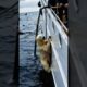 😲Save a cute polar bear from a horde of aggressive creatures! A heartwarming rescue! 😍