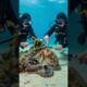 Scuba Divers Rescue Trapped Octopus In Need! #Rescue #animals #Wildlife