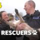 The Dog Rescuers: Episode 4 - Service Dogs - Animal Documentary