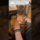 This man rescued a tiger cub that was lying motionless in the freezing cold