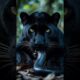 Top 4 Most Unreal Animal Fights Ever Caught on AI! #animalbattle