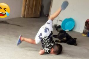 Try Not to Laugh Challenge #35 🤣 Best Fails of the week