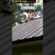 Unbelievable Human Skills 🤣 | Amazing People Caught on Camera | #shorts