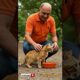 Viral ! kind man brave rescue cat from car tire #animal #animalrescue
