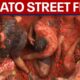 WATCH: La Tomatina festival marks 80 years with tomato street fight | LiveNOW from FOX