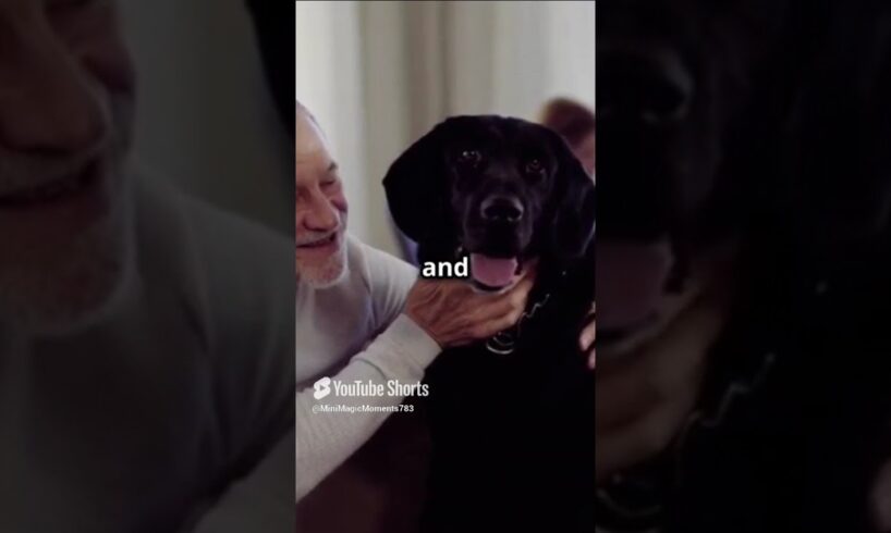 Why Adopting Senior Pets is awesome ?🐶🐱🐰🐾 #youtubeshorts #ytshorts #catsanddogs #petlovers #pet #dog