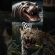 "Wildest Animal Battles Ever!"