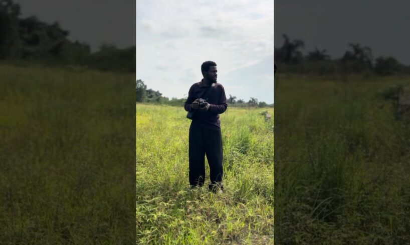 Wildlife Adventure 🤯😳