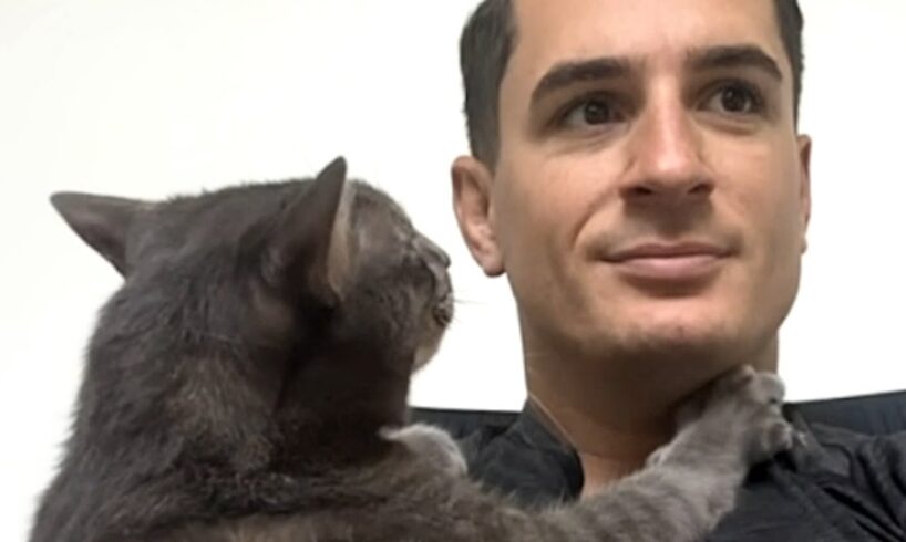 Woman adopts cat, cat adopts husband