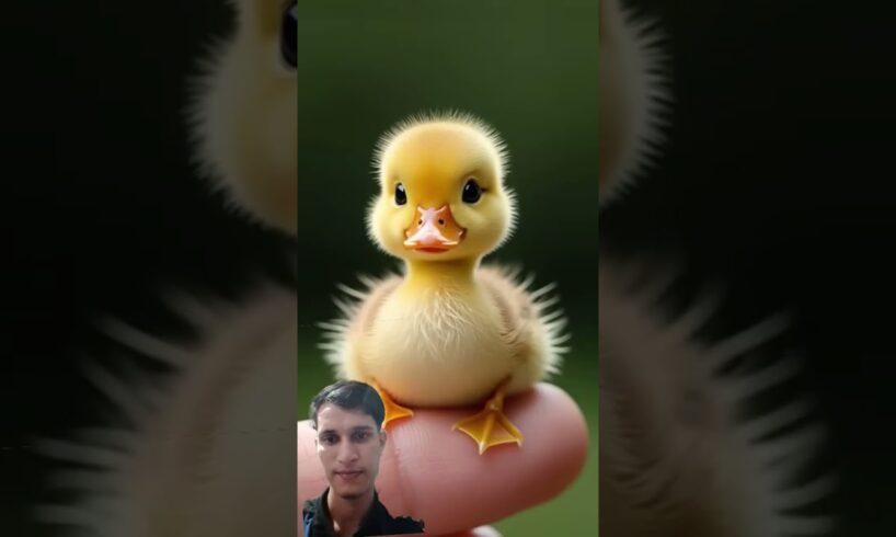 animals playing with balloons #cute#ytshorts#shorts#trending#cow#cat#dog #tiger#funny#viral #animals