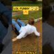funny fails of the Week 😱🤣🔥 #funny #epicfails #funnyvideos #lolmoments