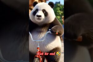 panda cycling #panda #funny #viral #ytshorts #cute #shortvideo #love