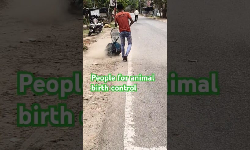 people for animal birth control #dog #animal #rescue #animalrescue #streetdog #viralshort #rescuedog
