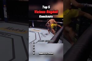 #ragdolls #ragdoll #knockout #ko #moments #ufc #mma #youtubeshorts