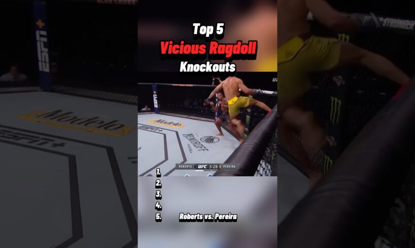#ragdolls #ragdoll #knockout #ko #moments #ufc #mma #youtubeshorts