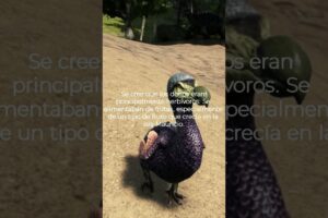 sabias esto sobre el dodo #dodo #animales #curiosidades #sabiasque #interesante