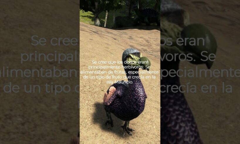 sabias esto sobre el dodo #dodo #animales #curiosidades #sabiasque #interesante