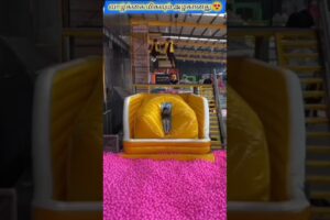 wow this is really beautiful to watch and they are amazing#viral #viralvideo #shorts #trendingshorts