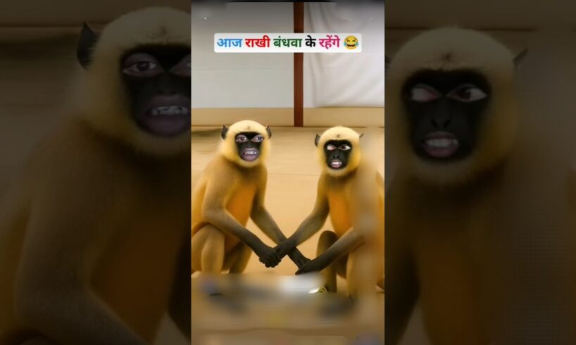 आज राखी बंधवा के रहेंगे #funny 🤣 #monkey #comedy #cartoon #aalupyajjoke #thetharpuns #tuityfun