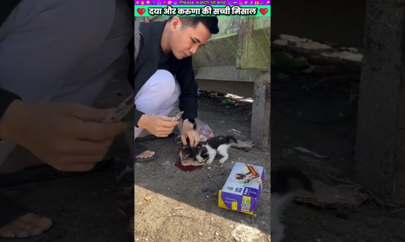 दया और करुणा की सच्ची मिसाल #animal #animalrescue #animallover #rescue #dog