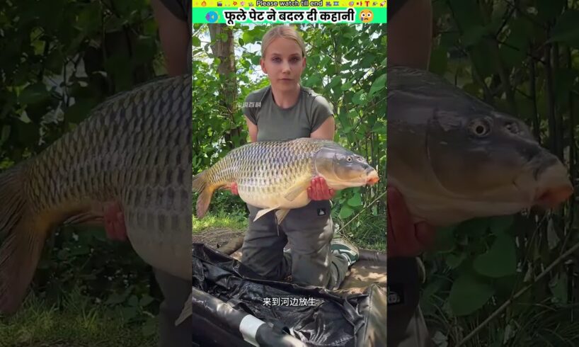 फूले पेट ने बदल दी कहानी #animal #animalrescue #animallover #rescue #dog