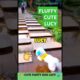 स्मार्ट लुसी डॉग 🐶 White Fluffy Dog Cute Jump 😍 Dogs Training #fluffydog #cutedog #dog