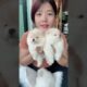 Cute Dog Collection, The World’s Cutest Puppies #dog #puppies #puppy #video #cute #cutest