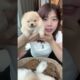 Cute Dog Collection, The World’s Cutest Puppies #dog #puppies #puppy #video #cute #cutest