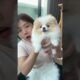 Cute Dog Collection, The World’s Cutest Puppies #dog #puppies #puppy #video #cute #cutest