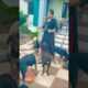 cute dog #doglover#puppy #labrador #shortvideo #