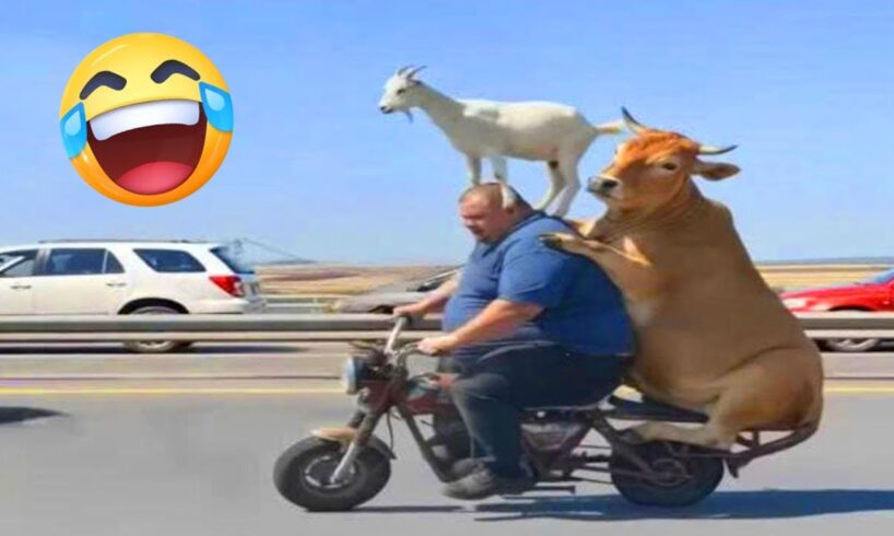 BEST OF THE WEEK #9 - Funniest Fails of the Week