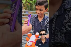 Duckling saves seriously injured cat#DuckRescue#CuteAnimals #Animal Rescue