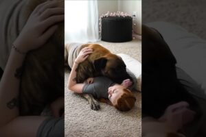 #dog #lovedog #dogs #puppy #doglover #doglife #love#cute #puppies #ilovemydog #cutedog #husbandog