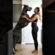 #dog #lovedog #dogs #puppy #doglover #doglife #love#cute #puppies #ilovemydog #cutedog #husbandog