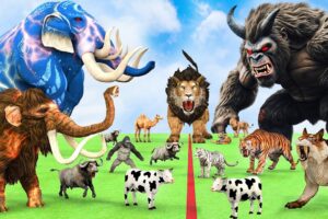 5 Giant Mammoth Elephant Cow Vs Monster King Kong Vs 5 Giant Lion Tiger Saved By Woolly Mammoth