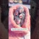 A man adopted lost baby parrots #shorts #animals