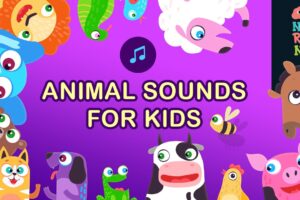Animal Sounds With Beautiful Animations | Baby First Words | Neroni Kids